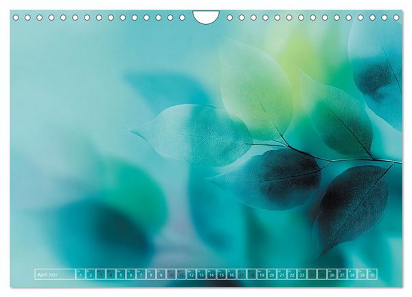 Produktbild: Lichtspiele der Natur (Wandkalender 2027 DIN A4 quer), CALVENDO Monatskalender
