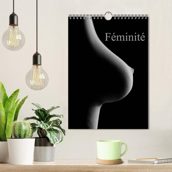 Produktbild: F&eacute;minit&eacute; (Calendrier mural 2027 DIN A4 horizontal), CALVENDO calendrier mensuel