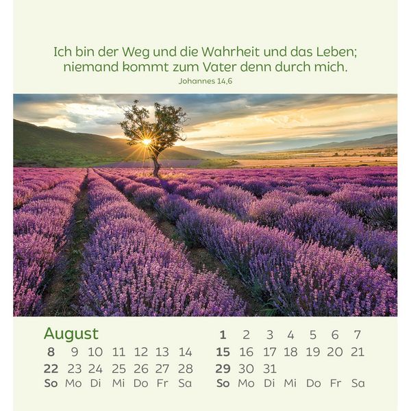 Produktbild: Kleine Blumengr&uuml;&szlig;e 2027