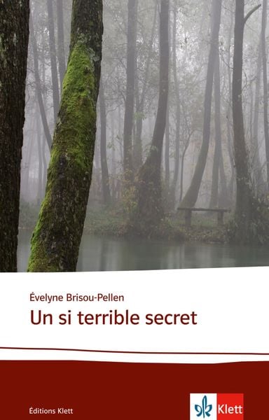 Produktbild: Un si terrible secret