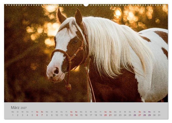Produktbild: Pferde - Anmut, Eleganz, Magie (hochwertiger Premium Wandkalender 2027 DIN A2 quer), Kunstdruck in Hochglanz