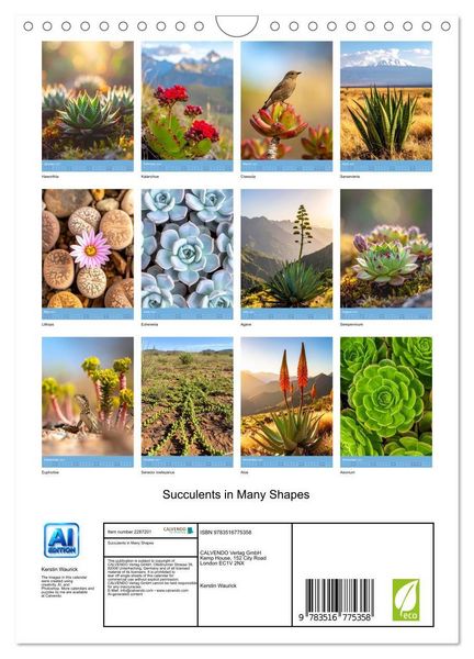 Produktbild: Succulents in Many Shapes (Wall Calendar 2027 DIN A4 portrait), CALVENDO 12 Month Wall Calendar