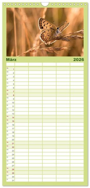Produktbild: Familienplaner 2026 - Schmetterlinge. Schimmernde Zauberwesen mit 5 Spalten (Wandkalender, 21 x 45 cm) CALVENDO