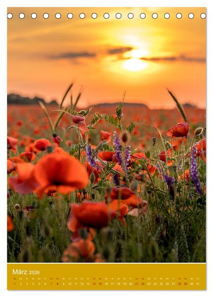 Produktbild: Mohnblumen - kraftvoll und zart (Tischkalender 2026 DIN A5 hoch), CALVENDO Monatskalender