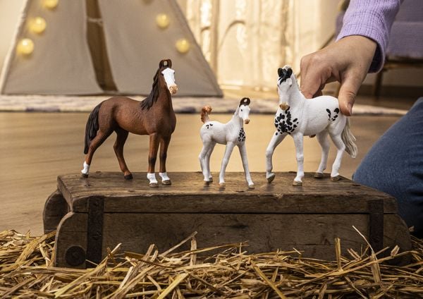 Produktbild: schleich&reg; Horse Club Marwari Hengst