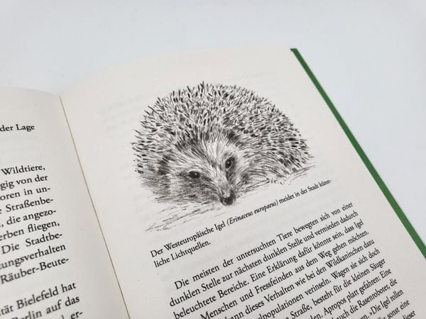 Produktbild: Die unglaubliche Kraft der Natur