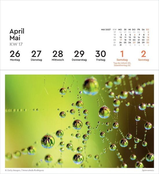Produktbild: Strukturen - KUNTH Postkartenkalender 2027