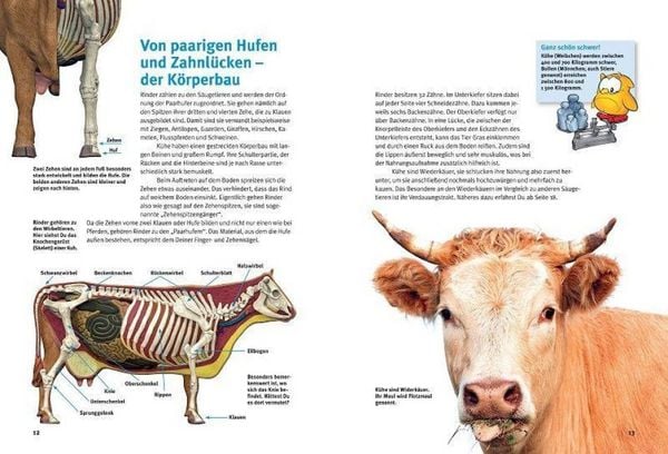 Produktbild: Entdecke die K&uuml;he