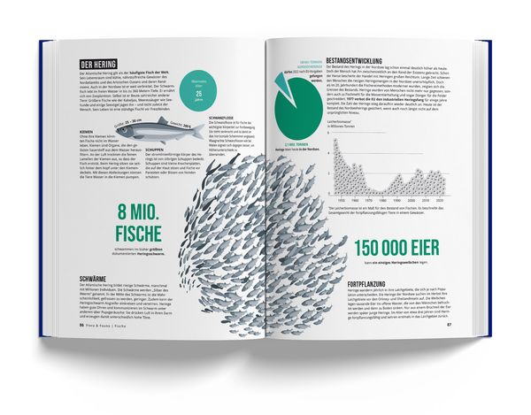 Produktbild: Das Nordseebuch