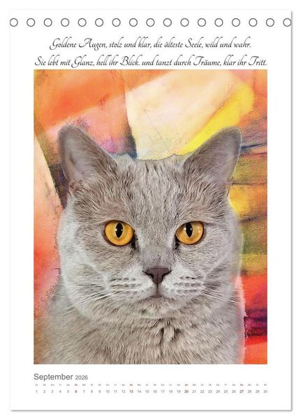 Produktbild: Katzenlyrik - Zw&ouml;lf Seelen auf Samtpfoten in Wort und Bild (Tischkalender 2026 DIN A5 hoch), CALVENDO Monatskalender