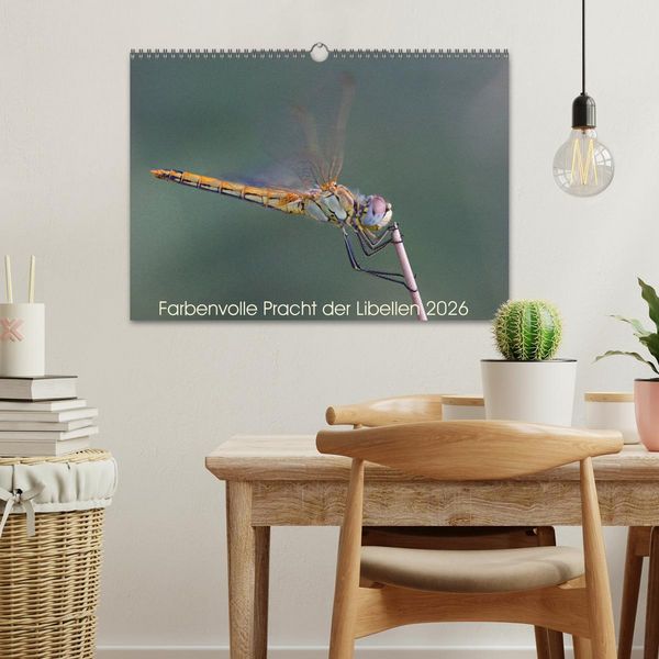 Produktbild: Farbenvolle Pracht der Libellen (Wandkalender 2026 DIN A3 quer), CALVENDO Monatskalender