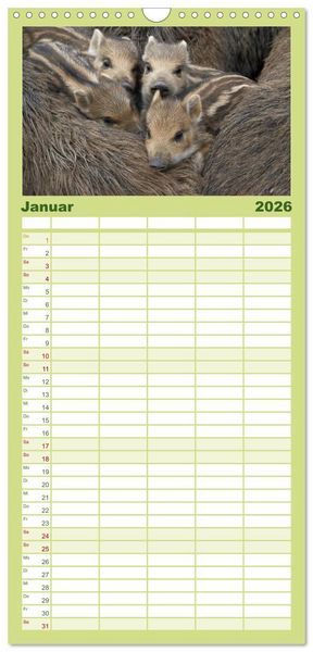 Produktbild: Familienplaner 2026 - Schweinkram - Die Wildschweine sind los mit 5 Spalten (Wandkalender, 21 x 45 cm) CALVENDO