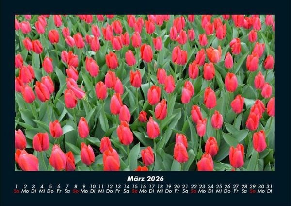 Produktbild: Blumenzauber 2026 Fotokalender DIN A4