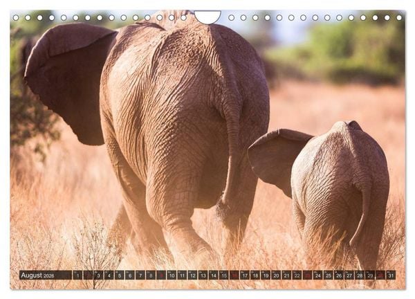 Produktbild: Kenia 2026 (Wandkalender 2026 DIN A4 quer), CALVENDO Monatskalender