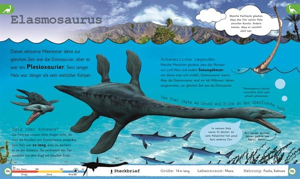 Wissen für Vorschulkids. Was weißt du über Dinos?