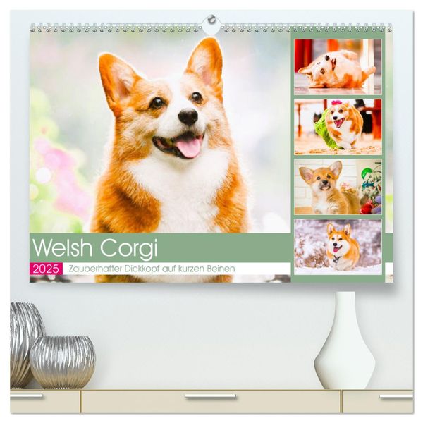 Welsh Corgi. Zauberhafter Dickkopf auf kurzen Beinen (hochwertiger Premium Wandkalender 2025 DIN A2 quer), Kunstdruck in