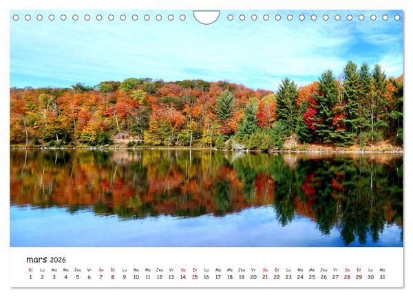 Produktbild: Automne haut en couleurs (Calendrier mural 2026 DIN A4 vertical), CALVENDO calendrier mensuel