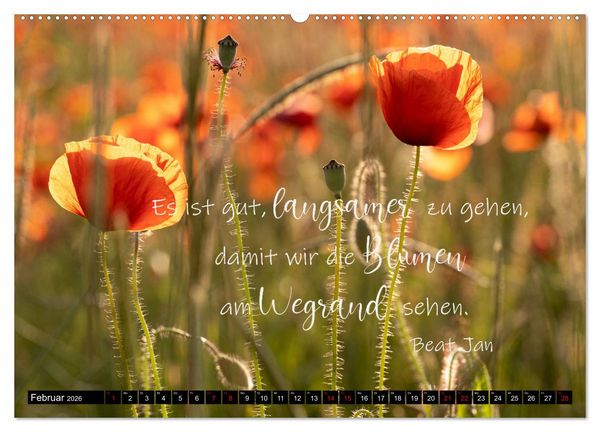 Produktbild: Bilder und Texte f&uuml;r die Seele (hochwertiger Premium Wandkalender 2026 DIN A2 quer), Kunstdruck in Hochglanz