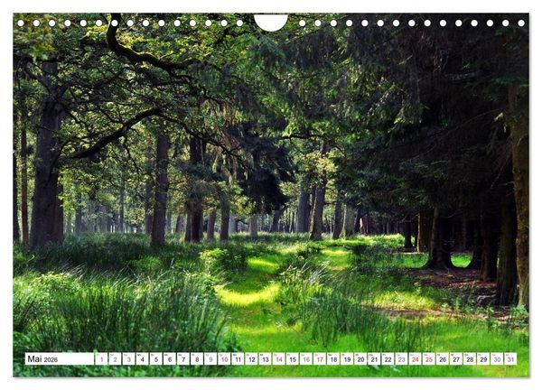 Produktbild: Wege gehen... (Wandkalender 2026 DIN A4 quer), CALVENDO Monatskalender