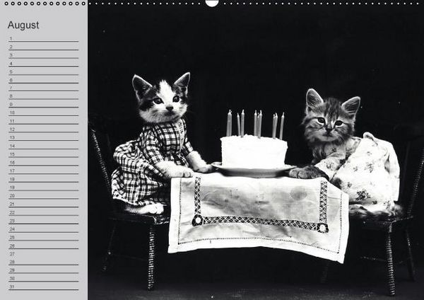 Produktbild: Katzen und Hunde - Nostalgie auf Pfoten (Wandkalender immerw&auml;hrend DIN A2 quer)
