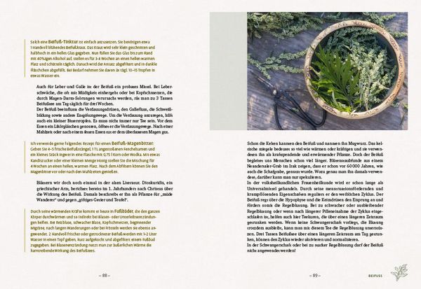Produktbild: Die wilden Neun