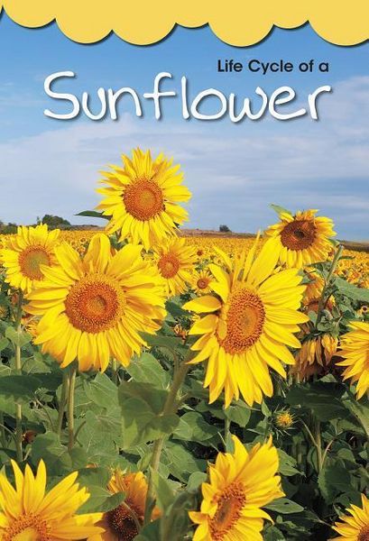 Produktbild: Life Cycle of a Sunflower
