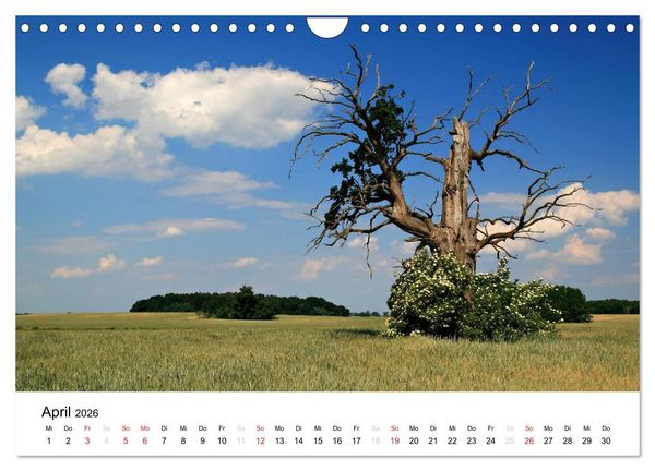 Produktbild: Landschaften (Wandkalender 2026 DIN A4 quer), CALVENDO Monatskalender