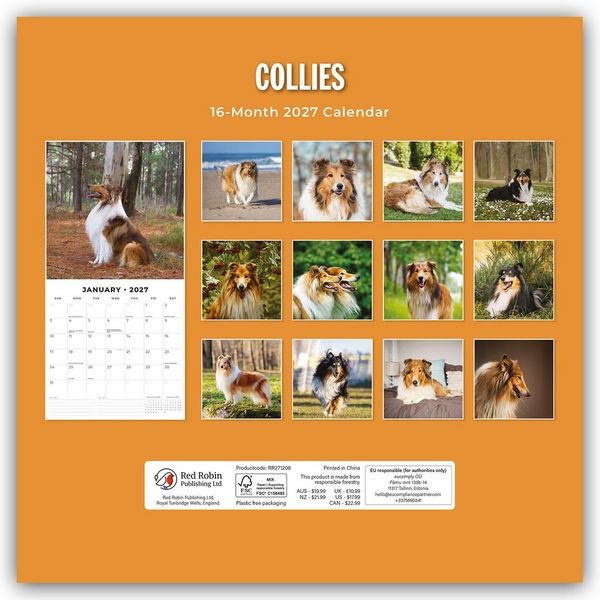Produktbild: Collies &ndash; Collie 2027 &ndash; 16-Monatskalender
