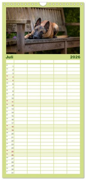 Produktbild: Familienplaner 2026 - Belgischer Sch&auml;ferhund - Der Malinois mit 5 Spalten (Wandkalender, 21 x 45 cm) CALVENDO