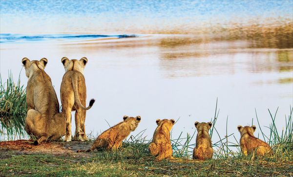 Produktbild: Die Seele Afrikas