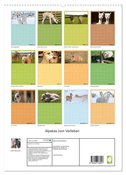 Produktbild: Alpakas zum Verlieben (hochwertiger Premium Wandkalender 2026 DIN A2 hoch), Kunstdruck in Hochglanz