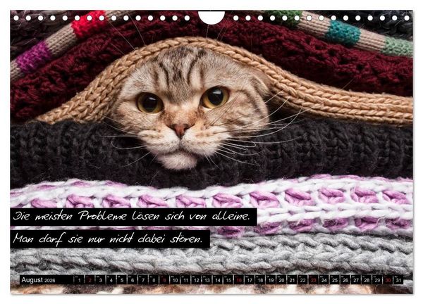 Produktbild: Der "philosophische" Katzenkalender 2026 (Wandkalender 2026 DIN A4 quer), CALVENDO Monatskalender