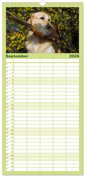Produktbild: Familienplaner 2026 - Golden Retriever - Ein Herz auf 4 Pfoten mit 5 Spalten (Wandkalender, 21 x 45 cm) CALVENDO