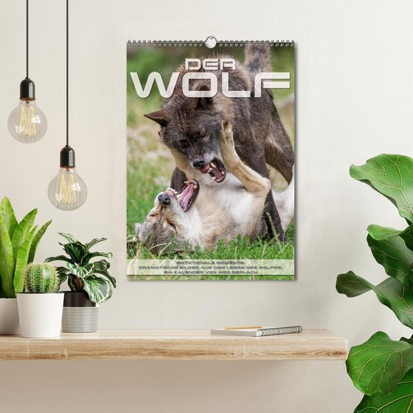 Produktbild: Emotionale Momente: Der Wolf. (Wandkalender 2026 DIN A3 hoch), CALVENDO Monatskalender