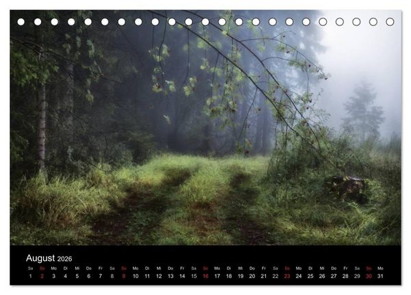 Produktbild: Waldkalender (Tischkalender 2026 DIN A5 quer), CALVENDO Monatskalender