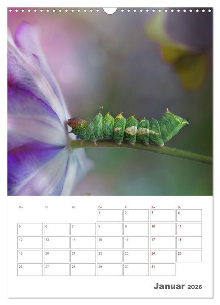 Produktbild: Helden in der Natur (Wandkalender 2026 DIN A3 hoch), CALVENDO Monatskalender