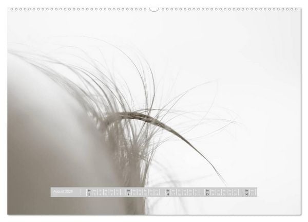 Produktbild: ...so winzig - Babykalender (hochwertiger Premium Wandkalender 2026 DIN A2 quer), Kunstdruck in Hochglanz