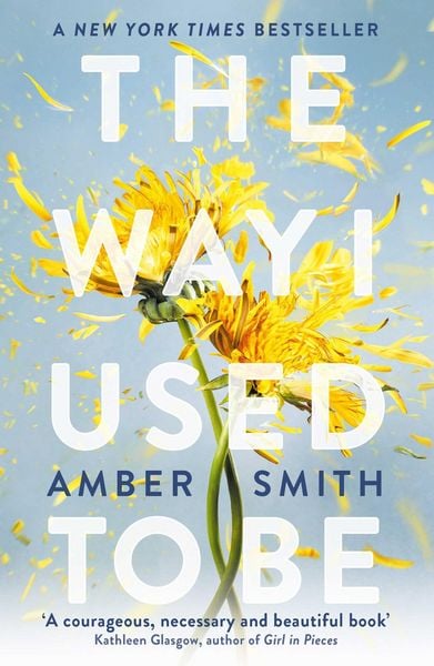Produktbild: The Way I Used to Be