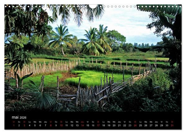 Produktbild: Madagascar L'&icirc;le aux merveilles (Calendrier mural 2026 DIN A3 vertical), CALVENDO calendrier mensuel