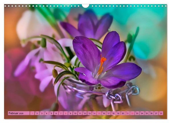 Produktbild: Lila - die mystische Farbe (Wandkalender 2026 DIN A3 quer), CALVENDO Monatskalender