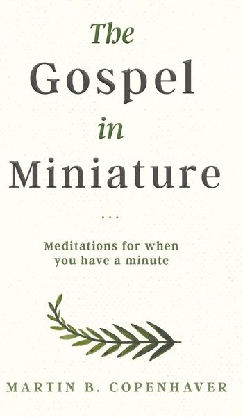 Produktbild: The Gospel in Miniature