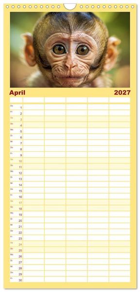 Produktbild: Familienplaner 2027 - Babys der Wildnis mit 5 Spalten (Wandkalender, 21 x 45 cm) CALVENDO