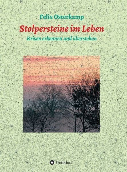 Produktbild: Stolpersteine im Leben - Krisen erkennen und &uuml;berstehen
