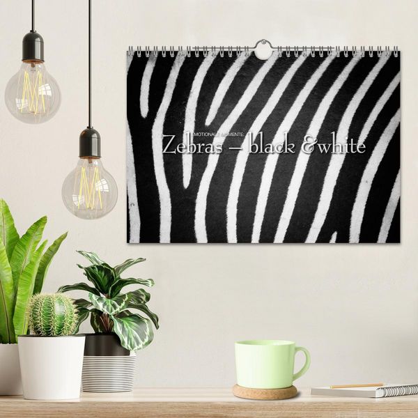 Produktbild: Emotionale Momente: Zebras - black & white. (Wandkalender 2026 DIN A4 quer), CALVENDO Monatskalender