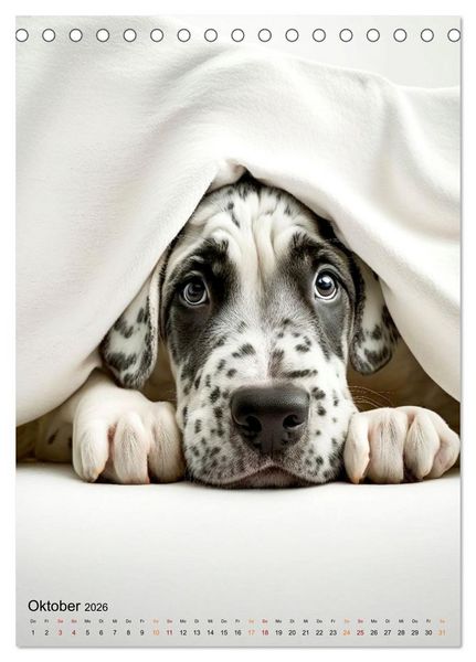 Produktbild: Deutsche Dogge - freundlicher Riese (Tischkalender 2026 DIN A5 hoch), CALVENDO Monatskalender