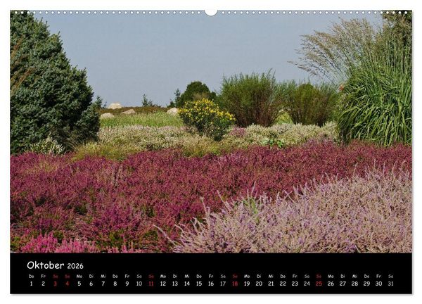 Produktbild: Findlingspark Nochten 2026 (hochwertiger Premium Wandkalender 2026 DIN A2 quer), Kunstdruck in Hochglanz