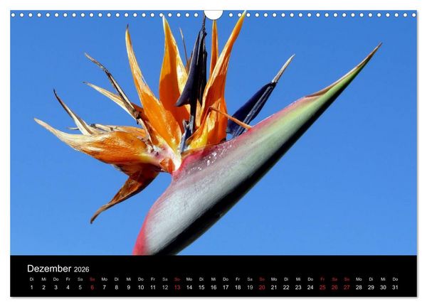 Produktbild: Madeira 2026 (Wandkalender 2026 DIN A3 quer), CALVENDO Monatskalender