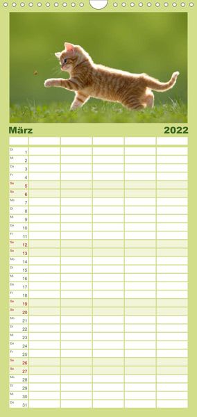 Produktbild: Familienplaner K&auml;tzchen 2022 (Wandkalender 2022 , 21 cm x 45 cm, hoch)
