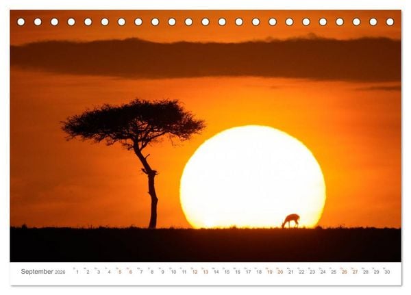 Produktbild: Safari Kenia (Tischkalender 2026 DIN A5 quer), CALVENDO Monatskalender
