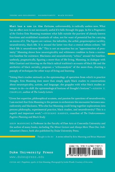 Produktbild: For a Pragmatics of the Useless